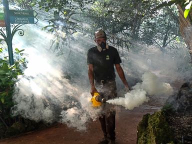 Locally Transmitted Zika Cases Found in New Area in Florida