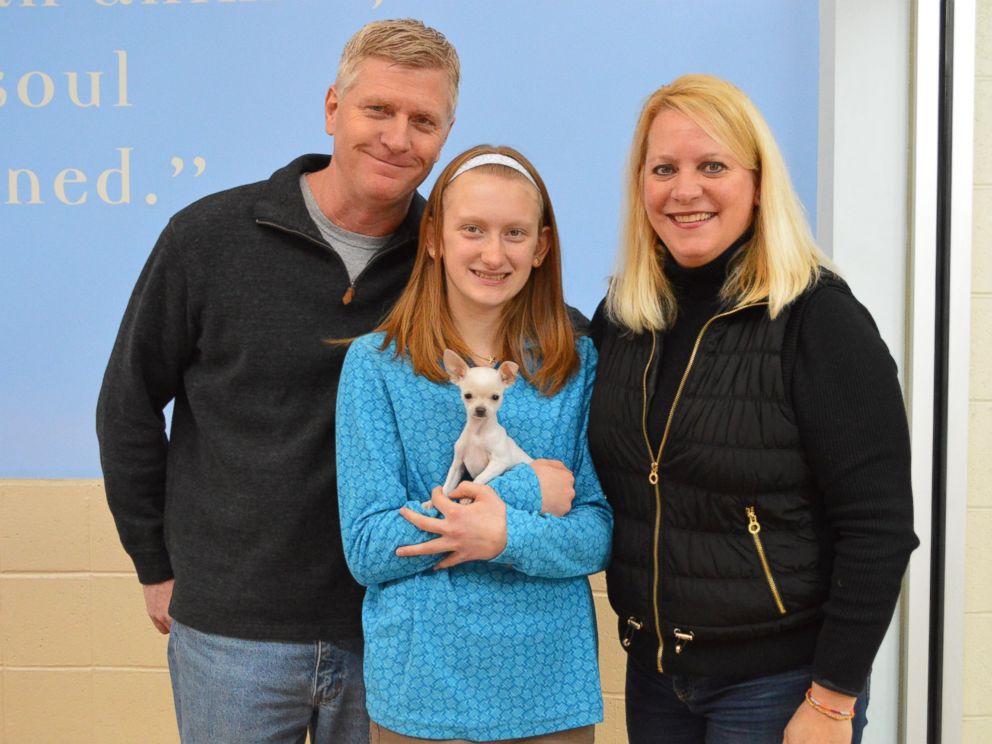 PHOTO: The Wisconsin Humane Society adopted out its smallest dog ever, Thumbelina, a 1.54-pound Chihuahua puppy, on Jan. 12, 2017.