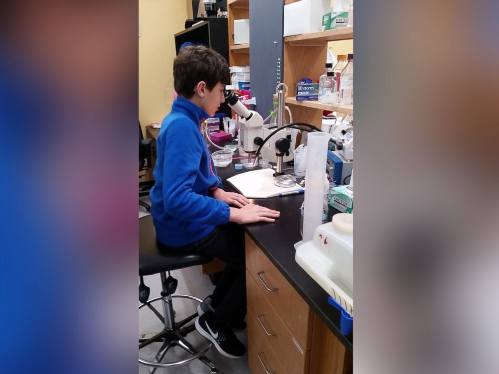 PHOTO: Stephen Litt, 12, won multiple awards at this years Georgia Science and Engineering Fair for his cancer-related science fair project.