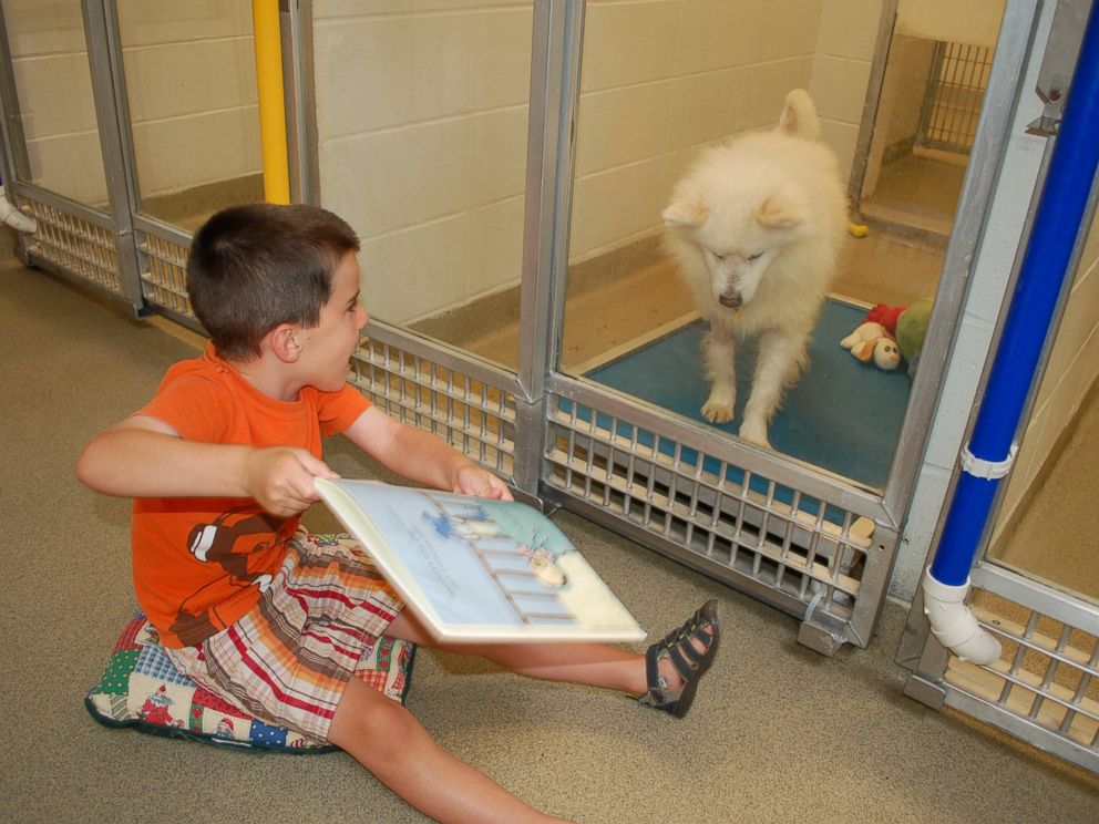 PHOTO: Ryan Huntebrinker reads holiday stories to a Humane Society of Missouri shelter dog during the Deck the Howls event for the Shelter Buddies Reading Program.