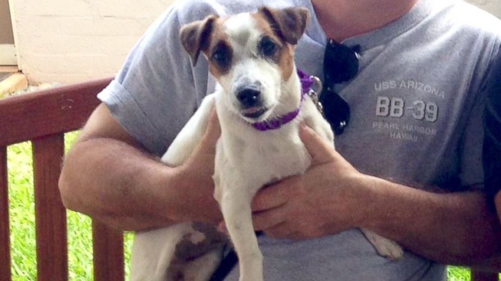 Hawaii Woman Adopts Shelter Dog, Posts it on Craigslist ...