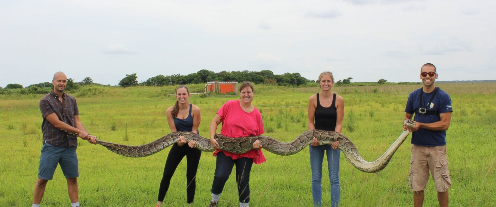 18 foot, 133 pound Burmese Python caught in Florida