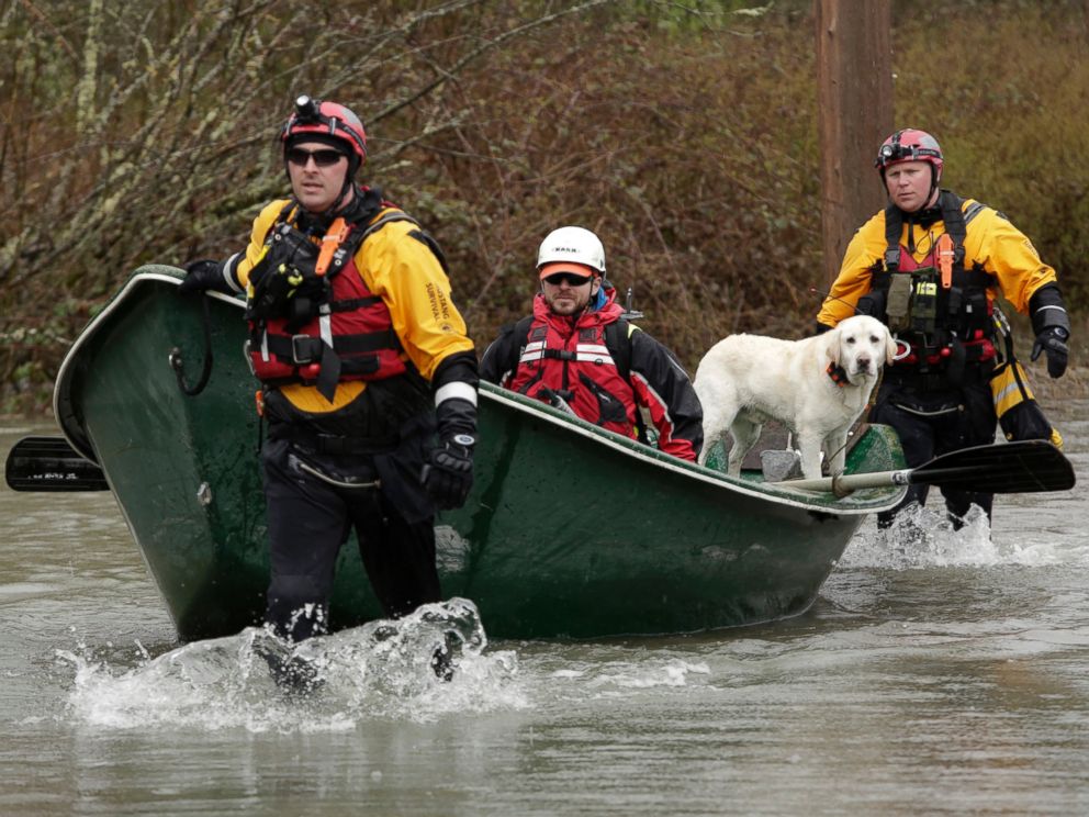 PHOTO: Workers and a search dog head into floodwaters on Highway 530 as search work continues in the mud and debris from a massive landslide that struck Oso near Darrington, Washington March 29, 2014.