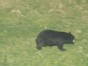 Bear Pays School Visit