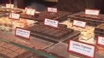 VIDEO: Pastry Chef Jacques Torres melts and swirls fine chocolate into lover's treats.