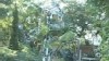 VIDEO:'Cathedral of Junk' Draws Tourists
