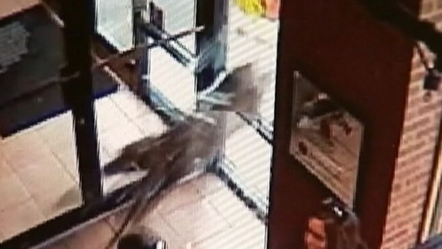 VIDEO: Atlanta eatery gets surprise visitor.