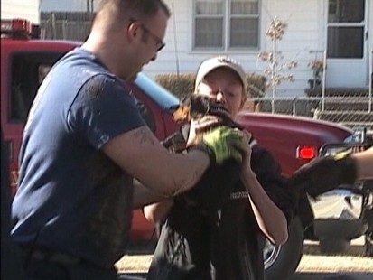 Video: Firefighters rescue pooch from storm drain.