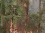 Fires Force Families to Flee Homes