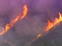 Scorching Wildfires in Sierra Madre
