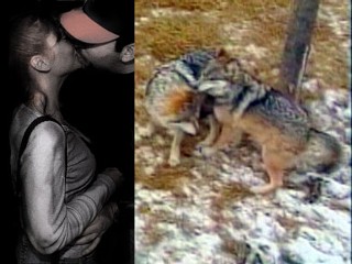 Zoo Goes Erotic For V-day