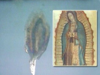 Virgin Mary Seen In Bird Poop?