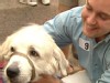 play video on ABC News