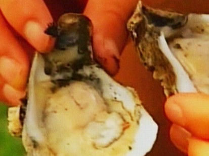 Video: Oil found inside oysters at North Carolina restaurant.