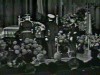 Video Sample