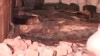 VIDEO: New Tomb Discovered in Egypt