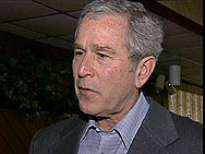 Bush