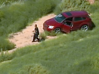 Carjacking Pursuit Ends With Suicide on TV