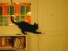 Sneak Kitty: Cat Opens Door