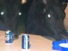 Beer-Drinking Cows