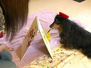 Blind Dachshund Paints, Saves Fellow Dogs