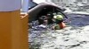 Video: Traffic cameras captures water rescue.