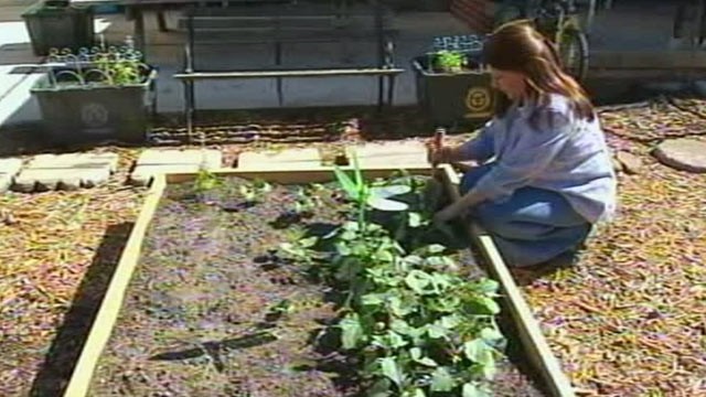 Front Yard Vegetable Garden