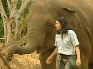 Zoo Keeper Stable After Elephant Attack