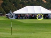 Stroke of Luck: Golfer's Wild Hole-in-One