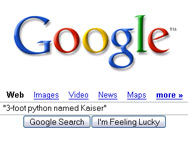 Google snake