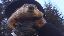 Groundhog Day 2013: 'Punxsutawney Phil' Sees No Shadow, Predicts Early ...