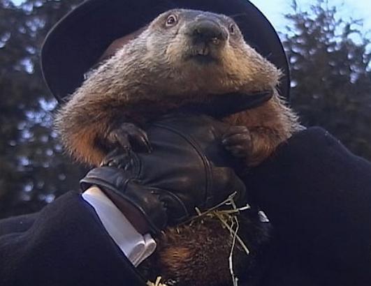 groundhogs day news