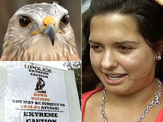 PHOTO Hannah King, a University of Miami sophomore suffered a concussion when attacked by a hawk.