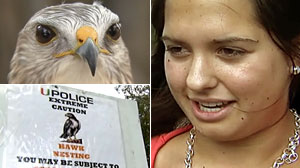 PHOTO Hannah King, a University of Miami sophomore suffered a concussion when attacked by a hawk.