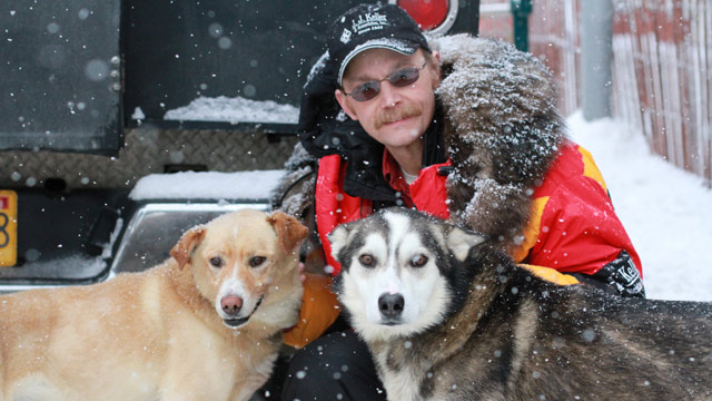 PHOTO: Iditarod 2012