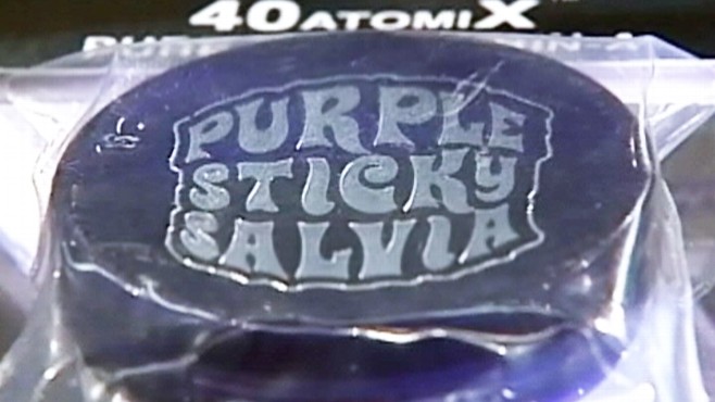 Video: Should Salvia be regulated?