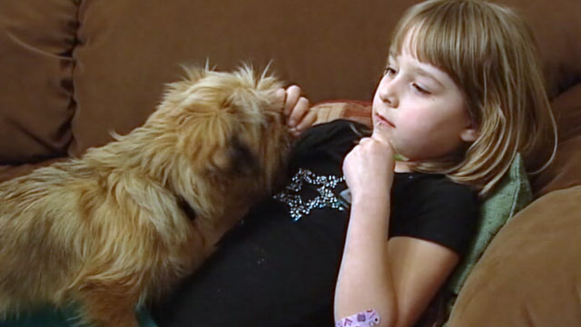PHOTO: A family dog wakes up before the burial. Scamp was presumed dead after being hit by a car in Yelm, Wash.