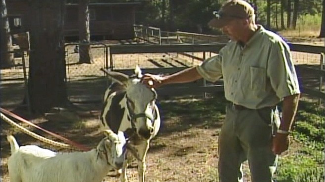 VIDEO: Art Colyer describes his pet's encounter with a mountain lion.