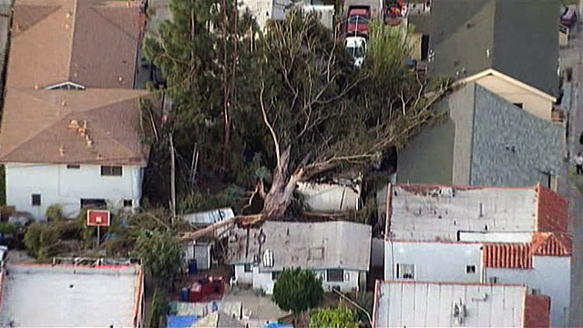 PHOTO: The National Weather Service issued high wind warnings and wind advisories for parts of California, Utah, Nevada, Arizona, New Mexico and Wyoming.