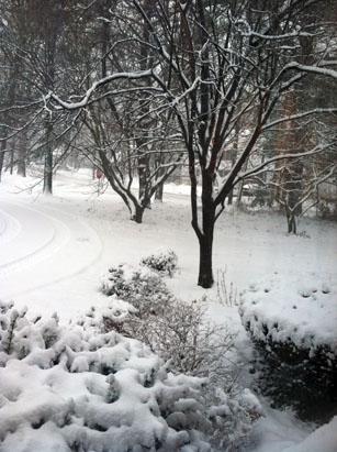 Northeast Braces for Blizzard