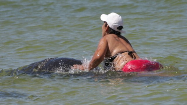 VIDEO: Authorities say woman could face a second degree misdemeanor charge for disturbing the mammal.