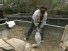 Southern California Locals Prep for Mudslides
