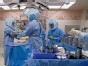 Stem Cell Controversy