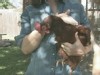 An Egg-cellent Idea: Poultry Meet-Up...
