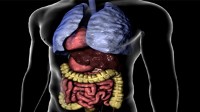 PHOTO Reverse Organs