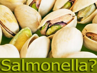 salmonella, pistachio