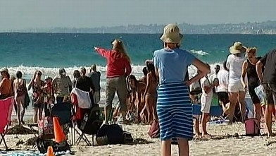PHOTO: Beachgoers in La Jolla, California spotted a shark on the beach on July 3, 2012.