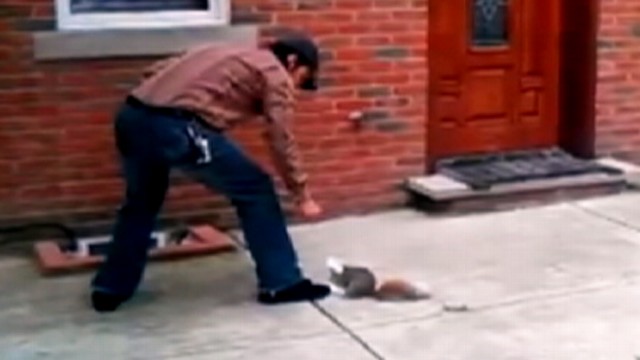VIDEO: Man in Philadelphia helps free animal from bag.