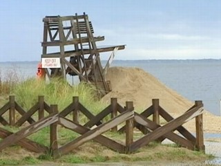 Watch: Girl, 2, Left Behind at Beach by Day Care Provider: Police
