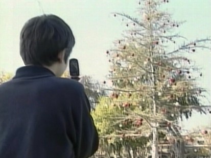 Video: Sad looking Christmas tree on display in Concord, California.